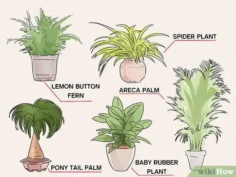 Image titled Keep Your Dog from Being Exposed to Household Poisons Step 10