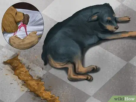 Image titled Keep a Mother Dog Healthy Postpartum Step 11