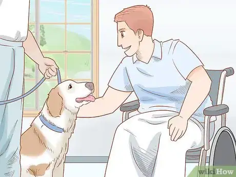 Image titled Train a Therapy Dog Step 8