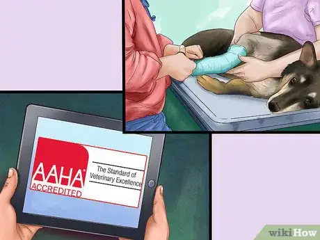 Image titled Deal with House Soiling in Older Dogs Step 7