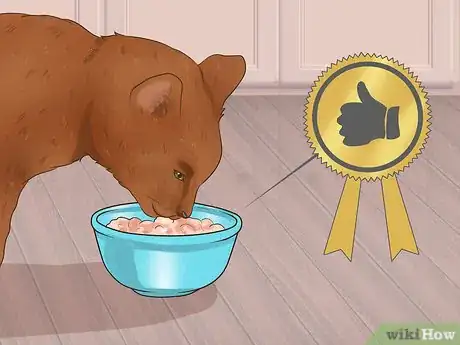 Image titled Care for a Havana Brown Cat Step 5