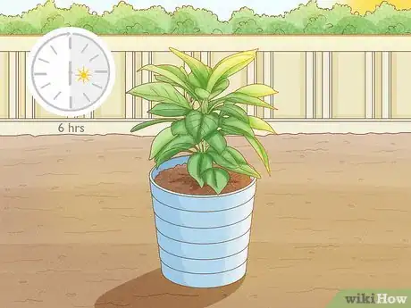 Image titled Grow Mandevillas Step 5