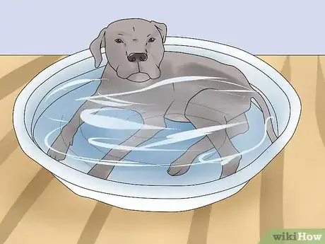 Image titled Keep Your Dog Comfortable Outdoors Step 9