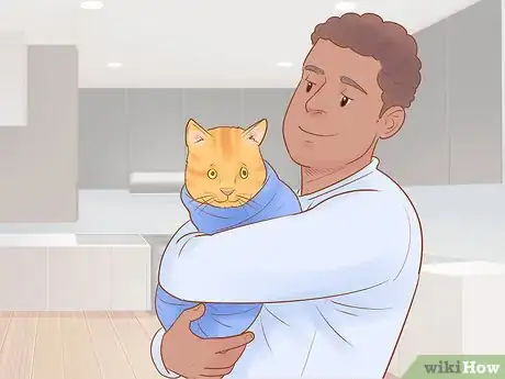 Image titled Diagnose and Treat Hypothermia in Cats Step 4
