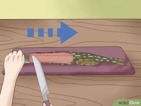 Image titled Clean and Fillet a Northern Pike Step 8