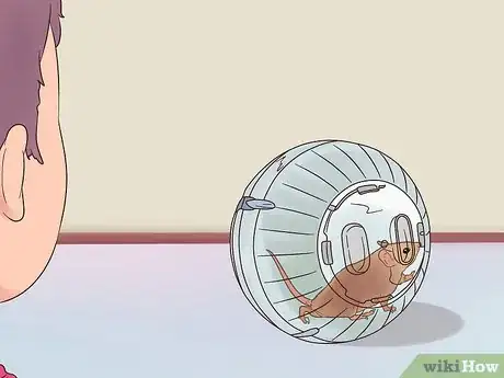 Image titled Exercise Pet Mice Step 6