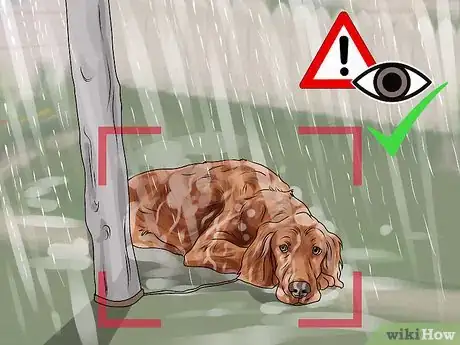 Image titled Help Shut Down Puppy Mills Step 6