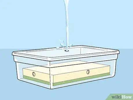 Image titled Store Clarinet Reeds Step 9