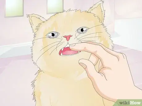 Image titled Prevent Feline Dental Disease Step 3