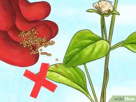 Image titled Fertilize Lantana Step 6