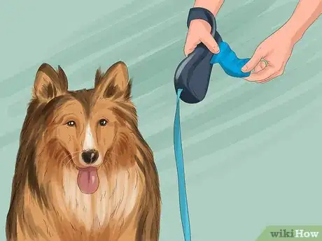 Image titled Have a Successful Visit to the Vet Step 9