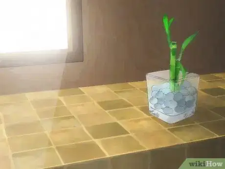 Image titled Take Care of Lucky Bamboo Step 8