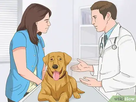 Image titled Manage Behavioral Dysfunction in Older Dogs Step 2