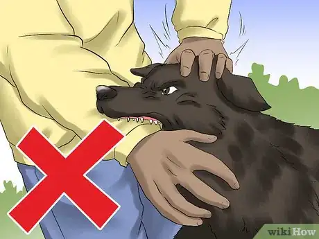 Image titled Protect Yourself from Dogs While Walking Step 11