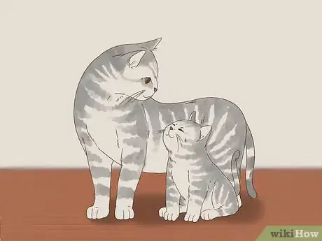 Image titled Deal with Your Cat Pacing at Night Step 5