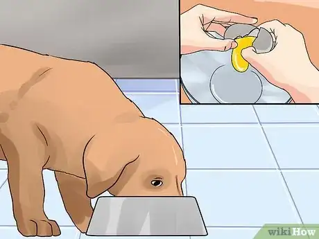 Image titled Choose Dog Treats Step 9