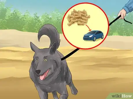 Image titled Walk a Dog in the Woods Step 13