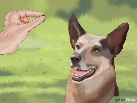 Image titled Train a Dog Step 9