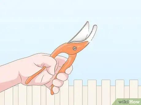 Image titled Trim Weeping Cherry Step 2