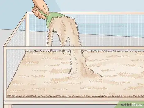 Image titled Ensure a Happy Life for Your Guinea Pig Step 5