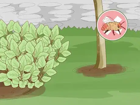 Image titled Stop a Cherry Tree from Bearing Fruit Step 5