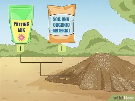 Image titled Plant Spider Lily Bulbs Step 5