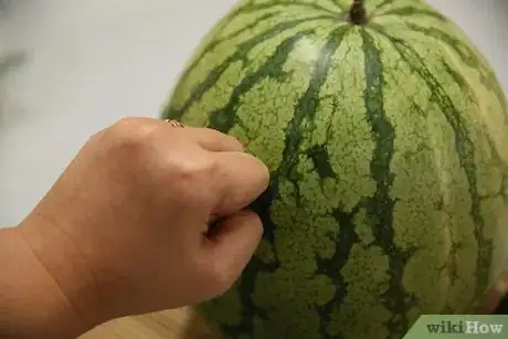 Image titled Select a Watermelon Step 5
