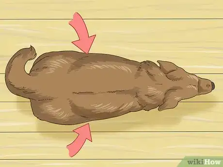 Image titled Manage Obesity in Senior Dogs Step 8