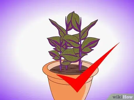 Image titled Plant Aquatic Plants Step 2