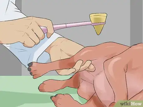 Image titled Diagnose Cognitive Dysfunction in Senior Dogs Step 9