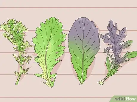 Image titled Grow Mustard Greens Step 1