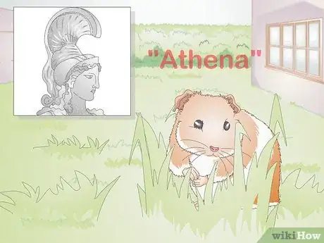 Image titled Choose Your Guinea Pig's Name Step 13