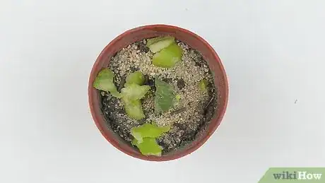 Image titled Pare an Apple Step 17