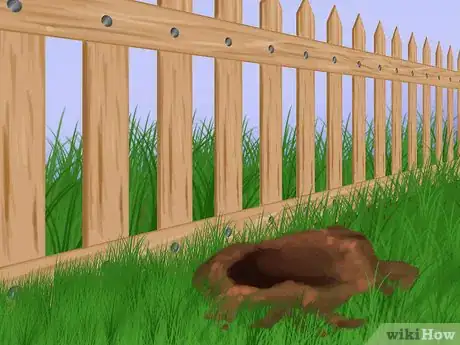 Image titled Stop Your Dog from Running Out of the Backyard Step 6
