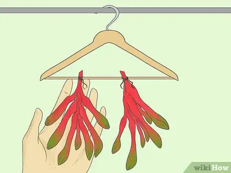 Image titled Dry Kangaroo Paws Step 6