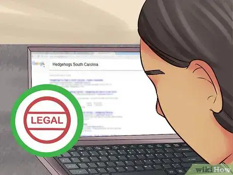 Image titled Buy a Hedgehog Step 1