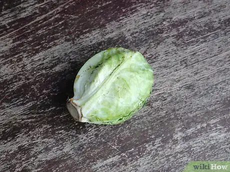 Image titled Select and Store Brussels Sprouts Step 4