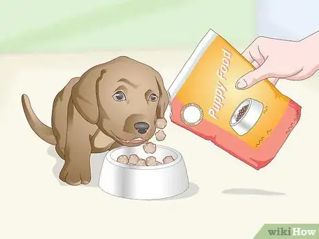 Image titled Pick the Best Dog Food Step 5