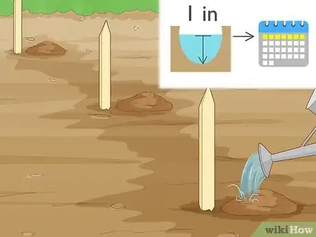 Image titled Plant Gloriosa Bulbs Step 8