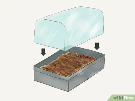 Image titled Grow Redwoods from Seed Step 9