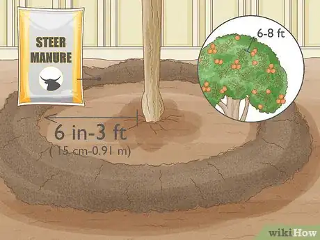 Image titled Grow Mandarin Trees Step 25