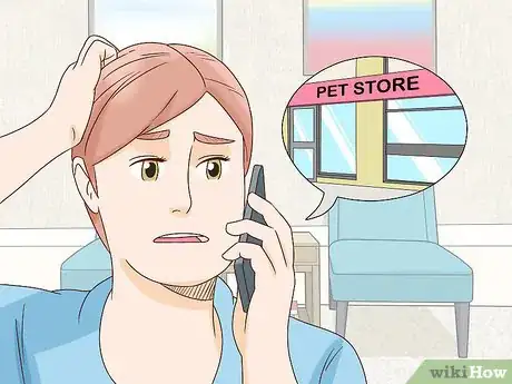 Image titled Diagnose and Treat Epizootic Catarrhal Enteritis in Ferrets Step 3