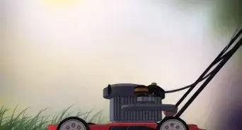 Attract Birds to Your Garden