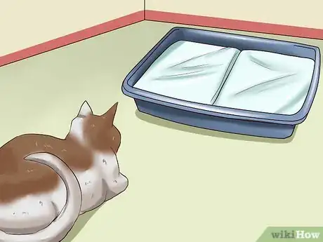 Image titled Repel Cats Step 5