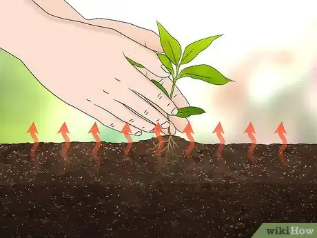 Image titled Extend Your Gardening Season Step 9