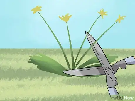 Image titled Maintain Horse Paddocks Step 4