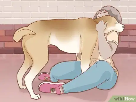 Image titled Care for Your Older Dog Step 11