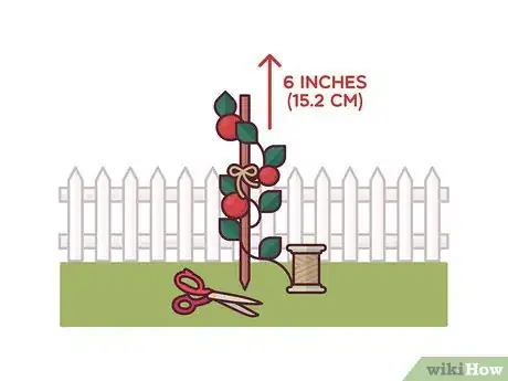 Image titled Stake Tomato Plants Step 5