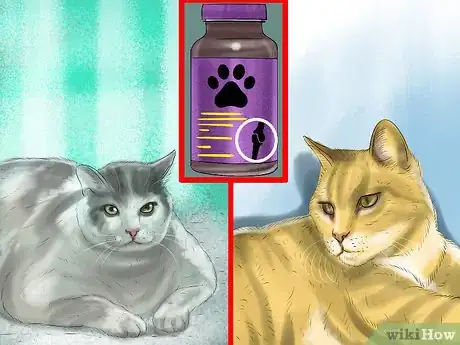 Image titled Give Your Cat a Joint Supplement Step 4