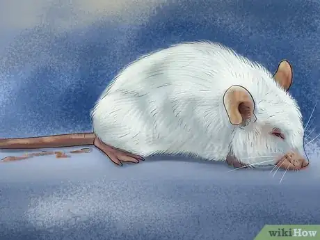 Image titled Diagnose Mousepox Step 1